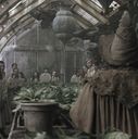 EmmaWatsonFan-dot-nl_HarryPotterandtheChamberOfSecrets0834.jpg