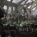 EmmaWatsonFan-dot-nl_HarryPotterandtheChamberOfSecrets0844.jpg