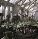 EmmaWatsonFan-dot-nl_HarryPotterandtheChamberOfSecrets0873.jpg