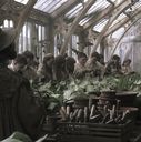 EmmaWatsonFan-dot-nl_HarryPotterandtheChamberOfSecrets0874.jpg