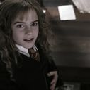 EmmaWatsonFan-dot-nl_HarryPotterandtheChamberOfSecrets1202.jpg