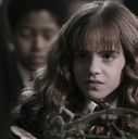 EmmaWatsonFan-dot-nl_HarryPotterandtheChamberOfSecrets1982.jpg
