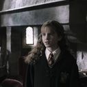 EmmaWatsonFan-dot-nl_HarryPotterandtheChamberOfSecrets3060.jpg