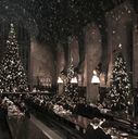 EmmaWatsonFan-dot-nl_HarryPotterandtheChamberOfSecrets3519.jpg