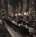 EmmaWatsonFan-dot-nl_HarryPotterandtheChamberOfSecrets3521.jpg