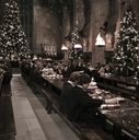 EmmaWatsonFan-dot-nl_HarryPotterandtheChamberOfSecrets3522.jpg