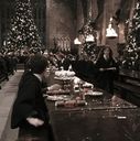 EmmaWatsonFan-dot-nl_HarryPotterandtheChamberOfSecrets3524.jpg