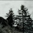 EmmaWatsonFan_dot_nl-HarryPotterAndThePrisonerOfAzkaban0947.jpg
