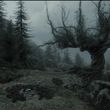 EmmaWatsonFan_dot_nl-HarryPotterAndThePrisonerOfAzkaban4269.jpg