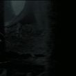 EmmaWatsonFan_dot_nl-HarryPotterAndThePrisonerOfAzkaban5823.jpg