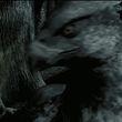 Filename=EmmaWatsonFan_dot_nl-HarryPotterAndThePrisonerOfAzkaban6076.jpg
Filesize=469KiB
Dimensions=1920x800
Date added=Jan 23, 2016 EmmaWatsonFan_dot_nl-HarryPotterAndThePrisonerOfAzkaban6076.jpg