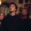 059.jpg