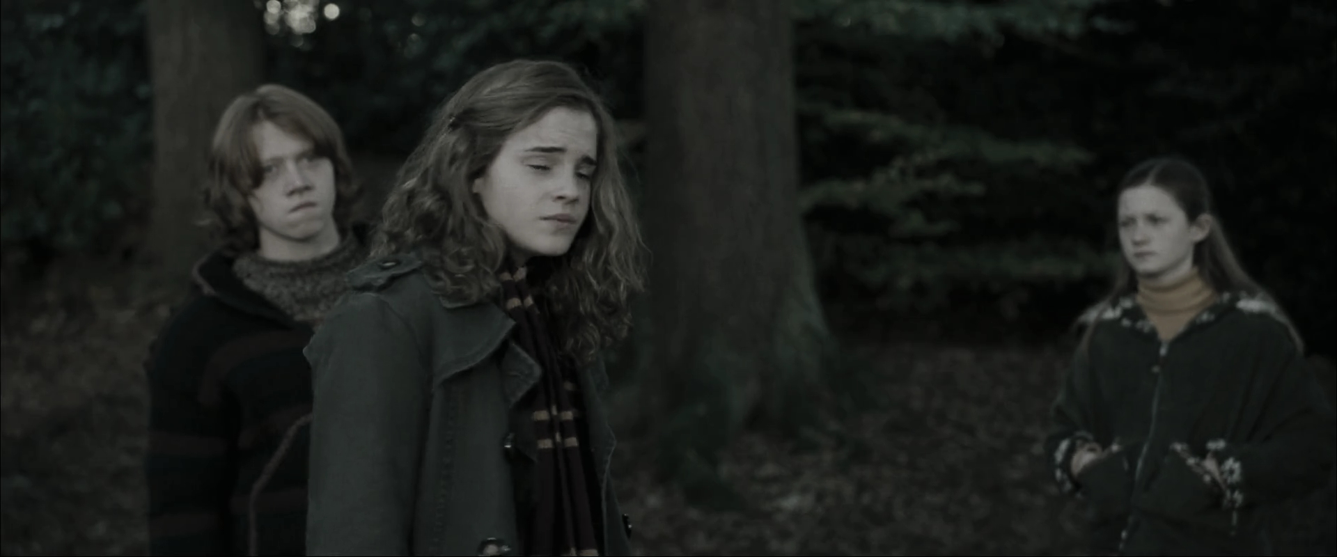 EmmaWatsonFan_dot_nl-HarryPotterAndTheGobletOfFire2705.jpg EmmaWatsonFan_dot_nl-HarryPotterAndTheGobletOfFire2705.jpg
