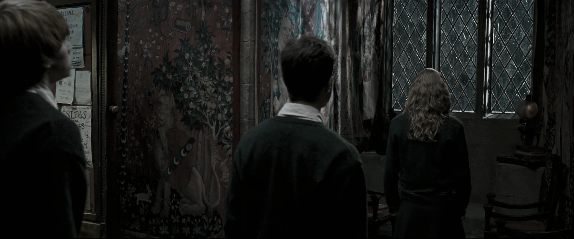 EmmaWatsonFan_dot_nl-HarryPotterAndTheOrderOfThePhoenix3063.jpg