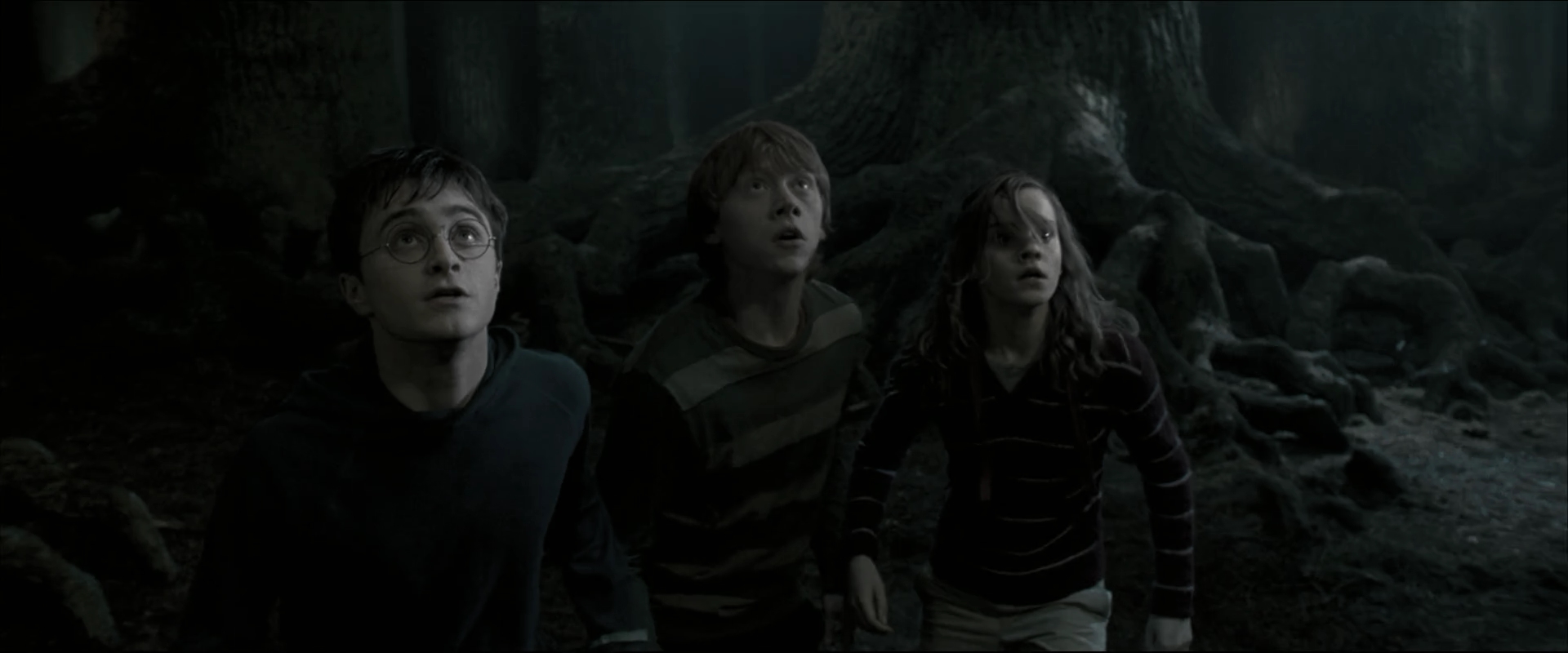 EmmaWatsonFan_dot_nl-HarryPotterAndTheOrderOfThePhoenix5210.jpg