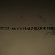 EmmaWatsonFan_dot_nl-HarryPotterAndTheHalfBloodPrince8544.jpg