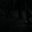 EmmaWatsonFan_dot_nl-HarryPotterAndTheDeathlyHallowsPart1-4084.jpg