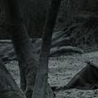 EmmaWatsonFan_dot_nl-HarryPotterAndTheDeathlyHallowsPart1-5407.jpg