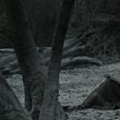 EmmaWatsonFan_dot_nl-HarryPotterAndTheDeathlyHallowsPart1-5409.jpg