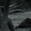 EmmaWatsonFan_dot_nl-HarryPotterAndTheDeathlyHallowsPart1-5486.jpg