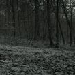 EmmaWatsonFan_dot_nl-HarryPotterAndTheDeathlyHallowsPart1-6014.jpg