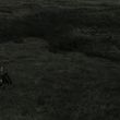 EmmaWatsonFan_dot_nl-HarryPotterAndTheDeathlyHallowsPart1-6278.jpg