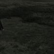 EmmaWatsonFan_dot_nl-HarryPotterAndTheDeathlyHallowsPart1-6280.jpg