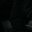 Filename=EmmaWatsonFan_dot_nl-HarryPotterAndTheDeathlyHallowsPart1-7244.jpg
Filesize=225KiB
Dimensions=1920x800
Date added=Jan 24, 2016 EmmaWatsonFan_dot_nl-HarryPotterAndTheDeathlyHallowsPart1-7244.jpg