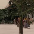 EmmaWatsonFan-dot-nl_LittleWoman2051.jpg