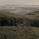EmmaWatsonFan-dot-nl_Noah5536.jpg