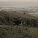 EmmaWatsonFan-dot-nl_Noah5537.jpg