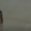 Filename=EmmaWatsonFan-dot-nl_TheCircle3749.jpg
Filesize=729KiB
Dimensions=1920x800
Date added=Sep 12, 2017 EmmaWatsonFan-dot-nl_TheCircle3749.jpg