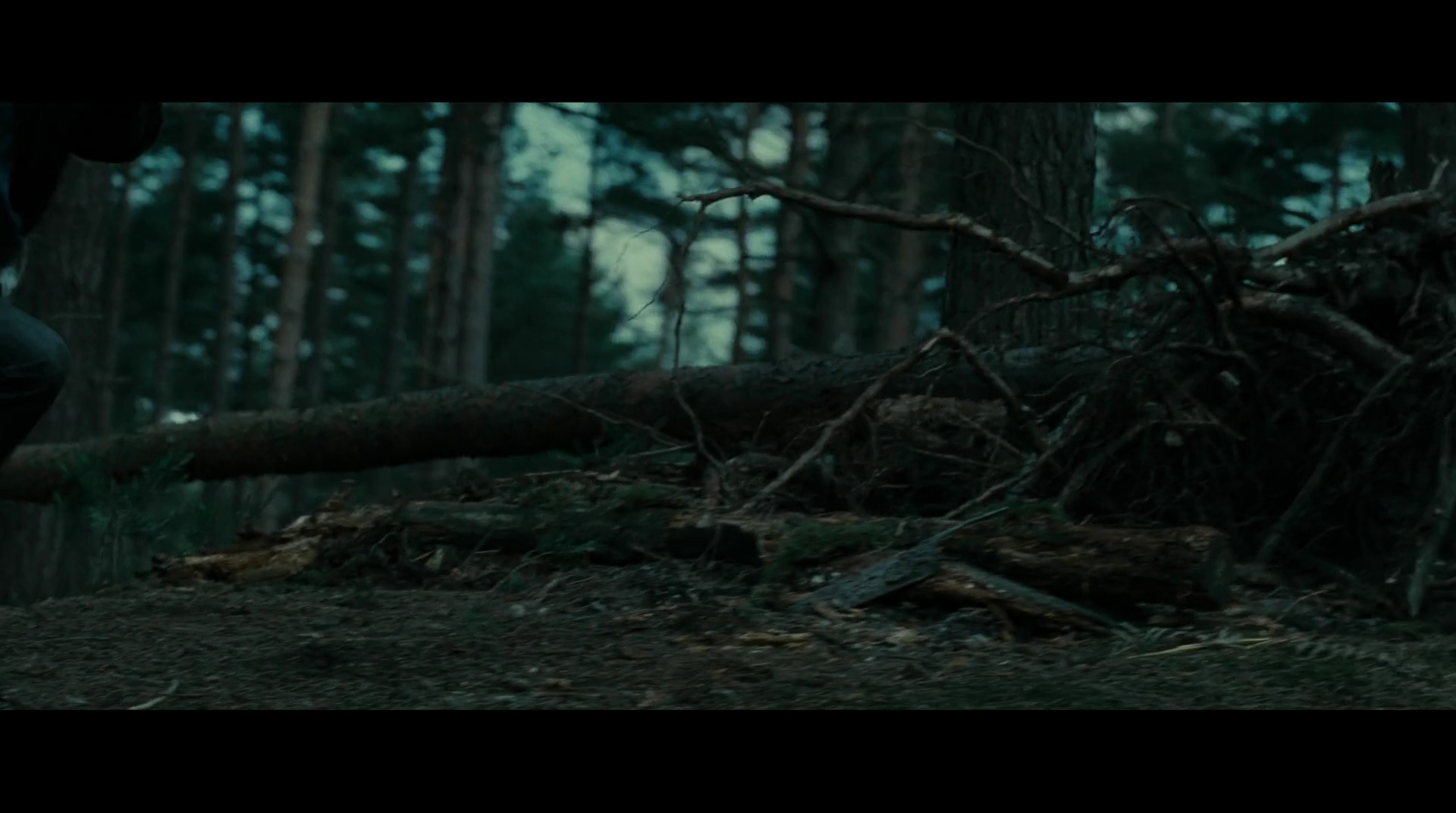 EmmaWatsonFan-dot-nl_HarryPotter-ReturnToHogwarts5030.jpg