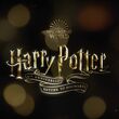 EmmaWatsonFan-dot-nl_HarryPotter-ReturnToHogwarts0232.jpg
